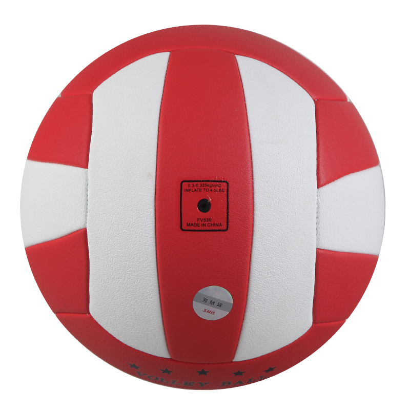 Ballon de volley - Ref 2010026 Image 5