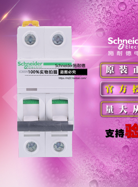 施耐德小型断路器 IC65N 2P D63A A9F19263 动力保护空气开关原装