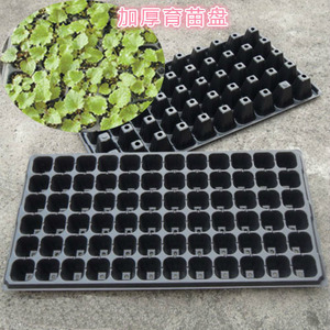 加厚穴盆水培育苗盆育苗盘营养钵育苗穴盘50穴72穴营养杯园艺用品