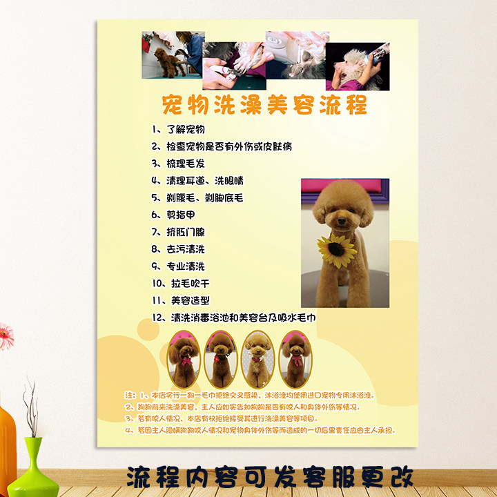 宠物洗澡流程图宠物店海报小狗贴墙画宠物洗澡美容画报订做565