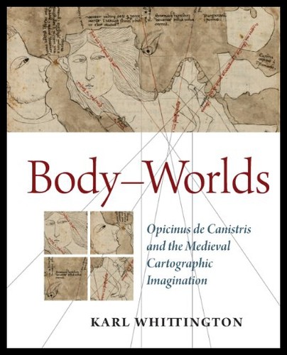 美国库房发货，通常付款后5-8周到货！