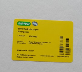 伯乐1703969滤纸bio-rad超厚转印滤纸19x8.5cm