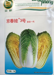 京春娃3号/小株春白菜早熟杂交娃娃菜种子 抗病农科院蔬菜京研10g