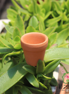 红陶花盆透气多肉植物细质陶盆室内简约迷你小盆栽摆件花器满包邮