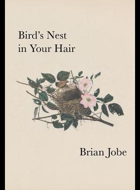 【预售】Birds Nest in Your Hair