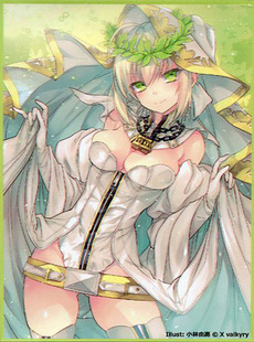 【蓝海卡牌】FateFGO花嫁婚纱Saber尼禄COMIC10会场SA限定卡套