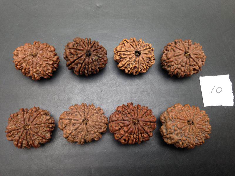 【佛渊阁】收藏精品震撼上市尼泊尔十瓣超大金刚27-31MM-10瓣