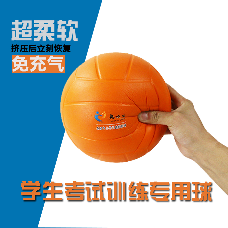 Ballon de volley-ball - Ref 2016684 Image 1
