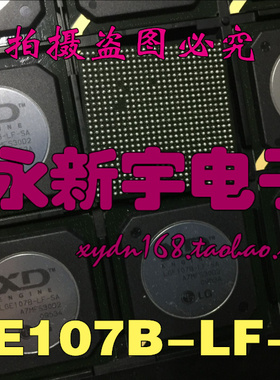全新原装正品现货 LGE107B-LF-SA 液晶屏芯片【直拍】
