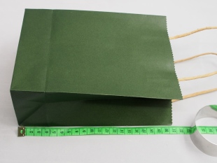 长15宽8 绿色小号提袋任何礼盒搭配都好看高20.5 小