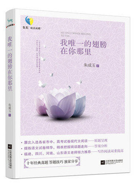 现货包邮 朱成玉散文集：我唯一的翅膀在你那里 作家朱成玉著 中国梦想是人生的翅膀。现当代随笔 书