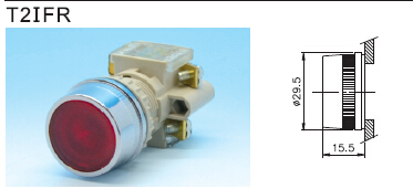 正宗台湾天得 平头带灯按钮T2IFR7Y-I1C