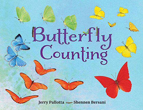 【预售】Butterfly Counting