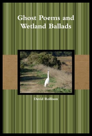 【预售】Ghost Poems and Wetland Ballads