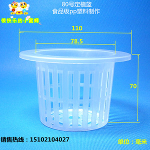 80号10只 水耕蔬菜定植杯蓝 无土栽培水培 种花篮杯 固根器 容器