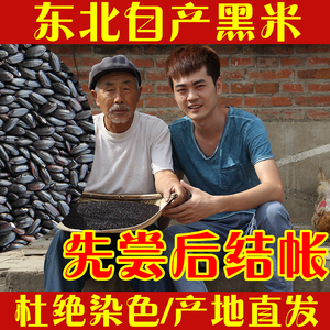 2020年新黑米东北五常农家自产黑香米五谷杂粮粗粮无染色黑米500g
