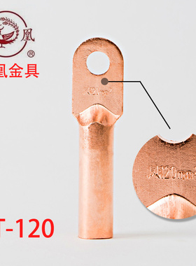 凤凰酸洗堵油铜接头 DT-120MM2 铜鼻子 铜线耳 B级  一只价