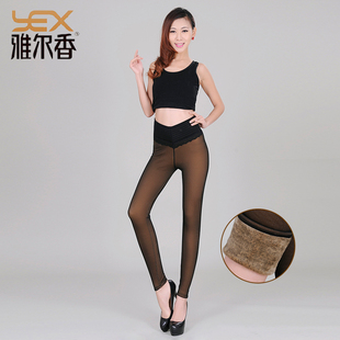 雅尔香秋冬400克高腰高弹网纱假透肉双层加厚女士打底保暖裤 6754