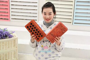 3D午睡板砖抱枕仿真砖头 办公休息枕头 毛绒整蛊空心砖靠枕靠垫