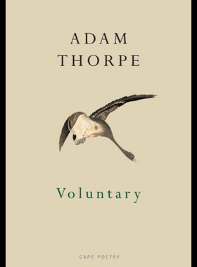 【预售】Voluntary