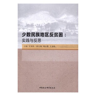 文长 少数民族地区反贫困：实践与反思 书店 区域经济书籍 畅想畅销书 正版 书 包邮