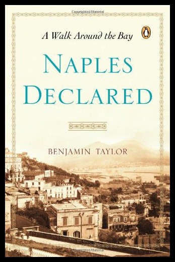 【预售】naples declared: a walk around the bay