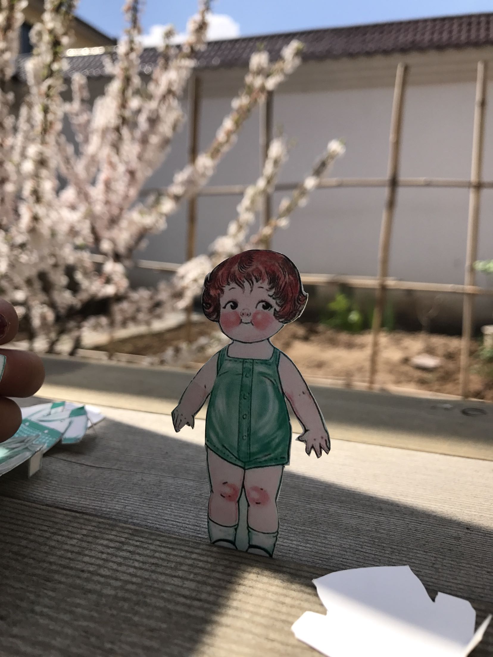 大儿童的解压玩具 复古番茄汤娃娃 diy换装/换衣 手工(一套5枚)