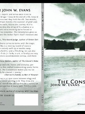 【预售】The Consolations