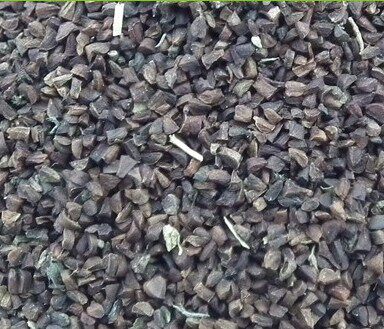 山芝麻子月见草籽500克包邮