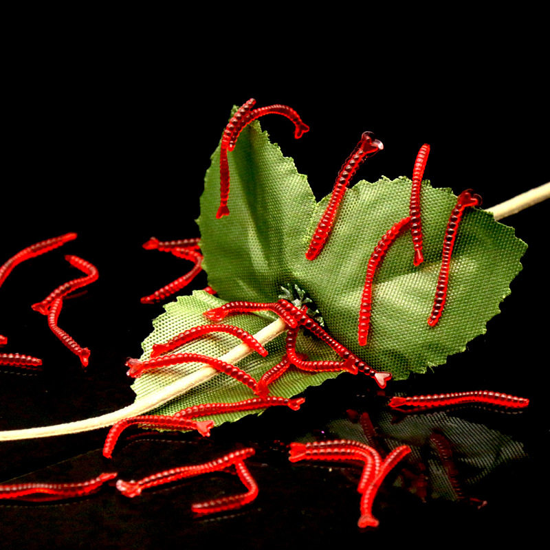 Protection sport - Ref 584802 Image 1