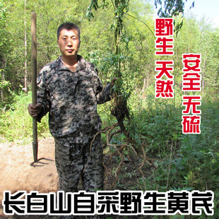 野生黄芪片 250克 北芪