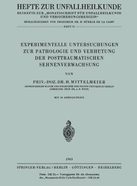【预订】Experimentelle Untersuchungen Zur Pa...