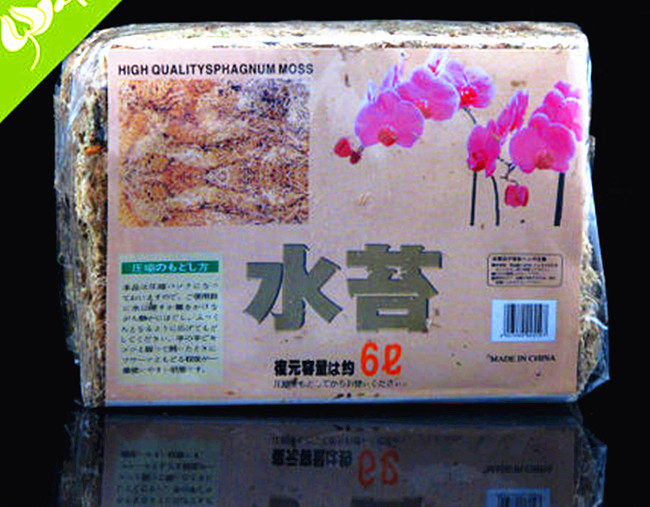兰花苔藓优质无土栽培无菌介质保湿用养蝴蝶兰石斛食虫植物营养土在类目 鲜花速递/花卉仿真/绿植园艺, 园艺用品, 家庭园艺肥料/营养土/营养液中 - 来自Buy2taobao.com提供专业的淘宝代购服务