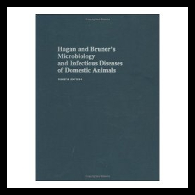 美国库房发货，通常付款后5-8周到货！