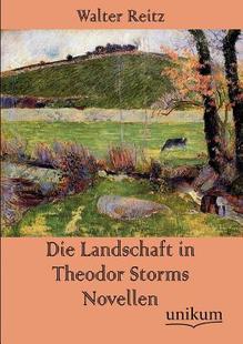 Theodor Landschaft Novellen Storms 预售 Die