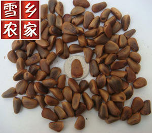 新鲜生松籽野生松籽松树籽松子手工挑大颗粒不开口松籽500g