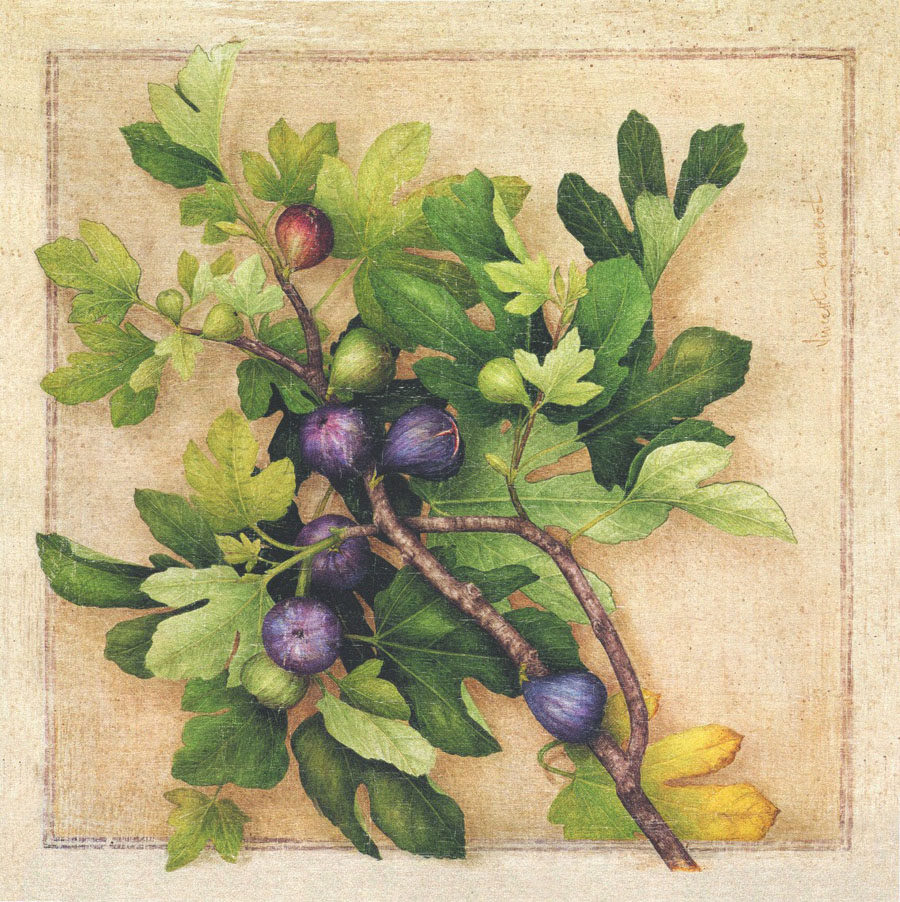 747海报印制展板写真喷绘583无花果室内装饰画墙画壁画挂画