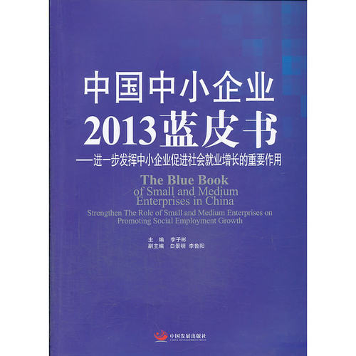 中国中小企业2013蓝皮书