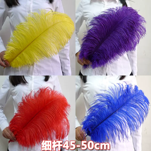 45-50 см. Острих сцены сцены свадьба свадьба счастливое событие ktv Road цитируется столовые цветочные украшения аксессуары цветочные бутылки декоративные перья