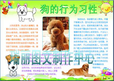 人类的朋友狗的行为习性电子小报动物科技手抄报板报成品模板958