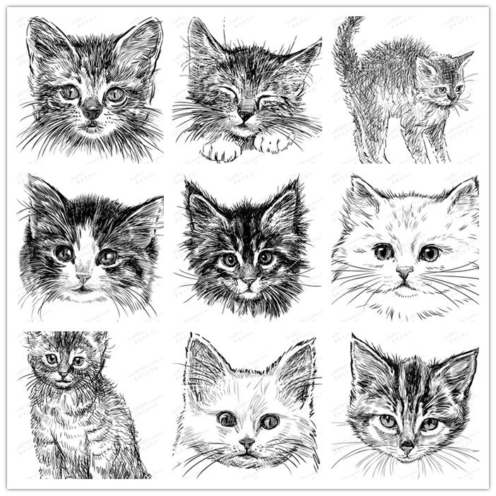 a1758矢量素描手绘风格猫咪图案 ai设计素材