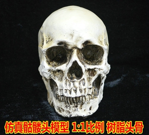 万圣节鬼节用品 鬼屋酒吧布场装饰道具 树脂骷髅头模型 人形头骨
