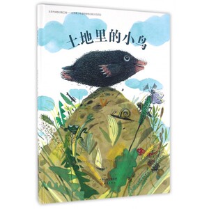 土地里的小鸟(精) 博库网