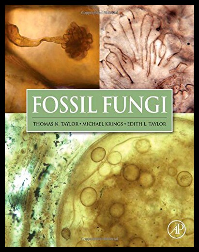 【预售】Fossil Fungi
