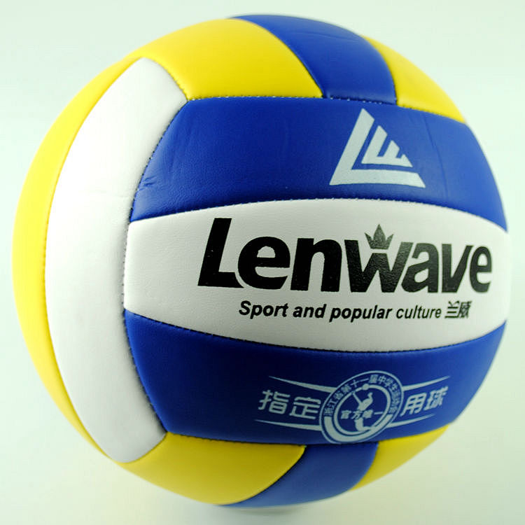 Ballon de volley - Ref 2009944 Image 1