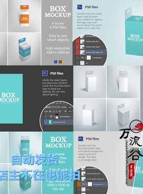 化妆品药品耳机纸盒子产品包装 VI智能贴图提案Mockup样机PSD模板