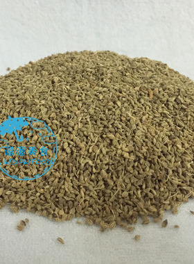 INDIAN FOOD 印度食品 ajwain carom Seed 香旱芹籽 阿加旺籽一斤