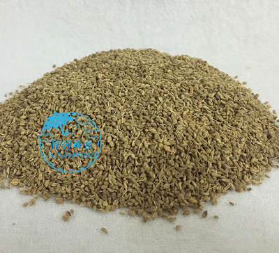 INDIAN FOOD 印度食品 carom Seed ajwain 香旱芹籽 阿加旺籽