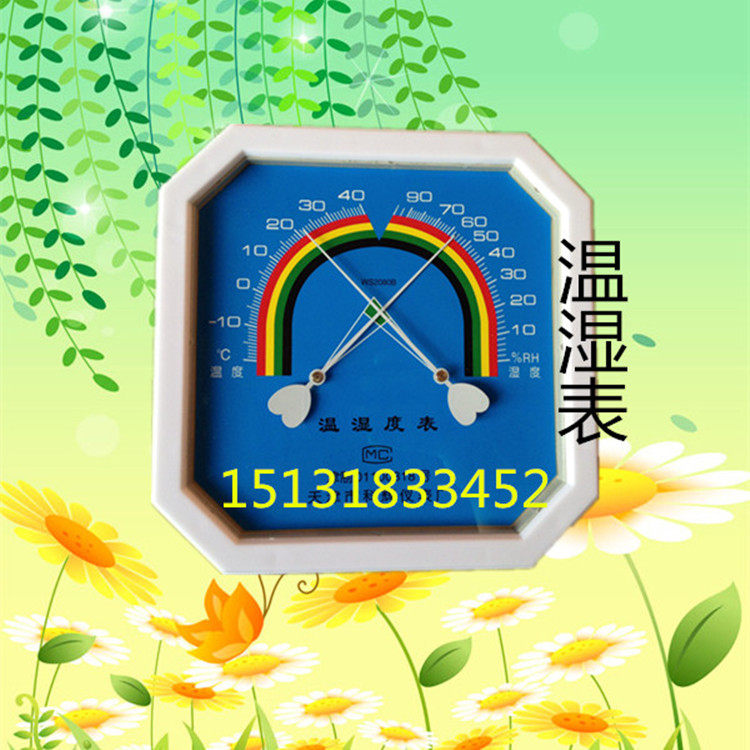 特价高精度温湿度计八角温湿表WS2080B型家用厂房车间温湿度测量