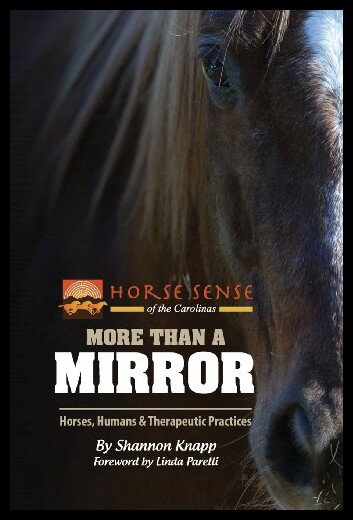 【预售】More Than a Mirror: Horses, Humans & Therapeutic